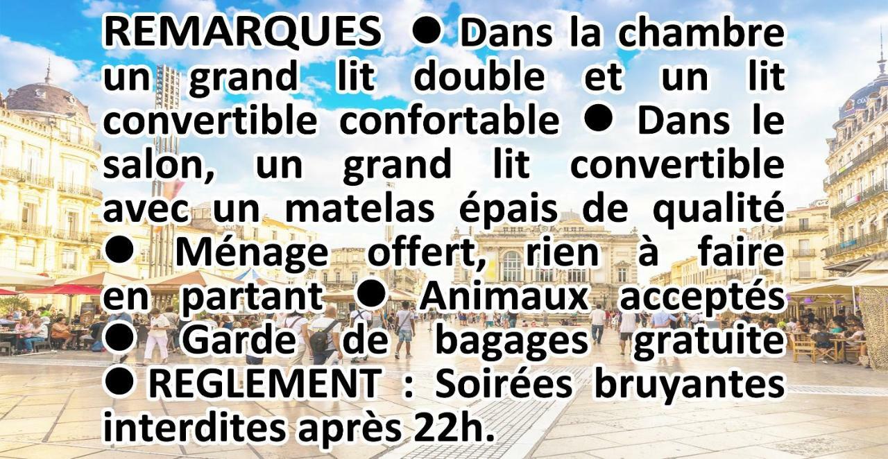 Comedie Musee-Fabre Parking Offert Climatisation Leilighet Montpellier Eksteriør bilde